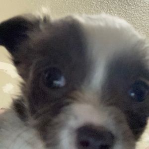 Meet your Posher, Jocelyn